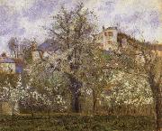 Vegetable Garden and Trees in Blossom Camille Pissarro